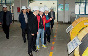 2015年11月22日，郎溪縣黨政代表團一行來上上電纜參觀考察