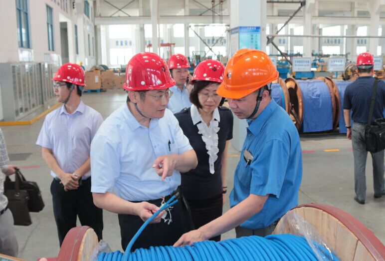 2016年7月22日，瀘州市委常委、副市長王建翔一行來上上電纜參觀考察