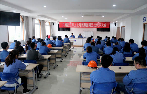 2016年4月20日，共青團江蘇上上電纜集團第五次代表大會召開