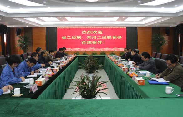 省工經(jīng)聯(lián)、常州市工經(jīng)聯(lián)領導來上上電纜調(diào)研