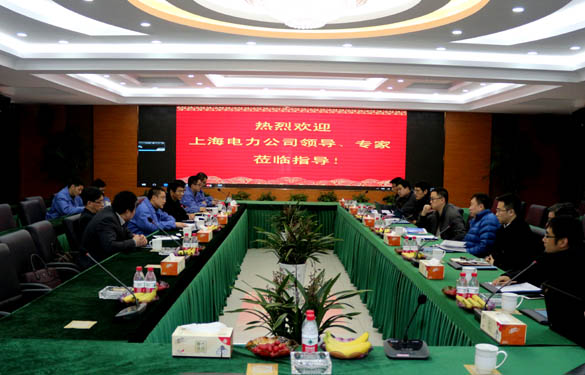 上海電力公司、上纜所領導、專家一行來上上電纜交流考察