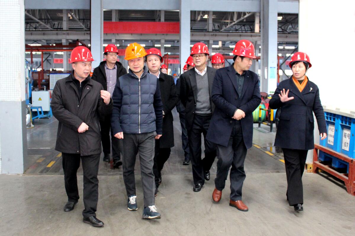 2019年3月7日，廣安市岳池縣考察團來上上電纜參觀考察